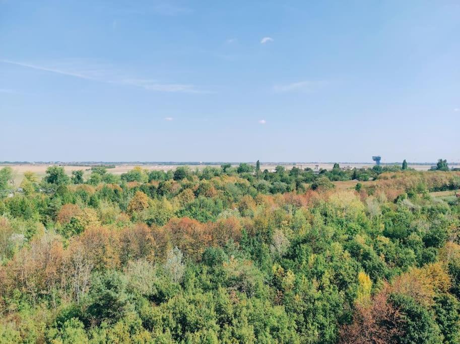 Airport Studio For Two, Free Parking, Airport View Bratislava Exteriér fotografie